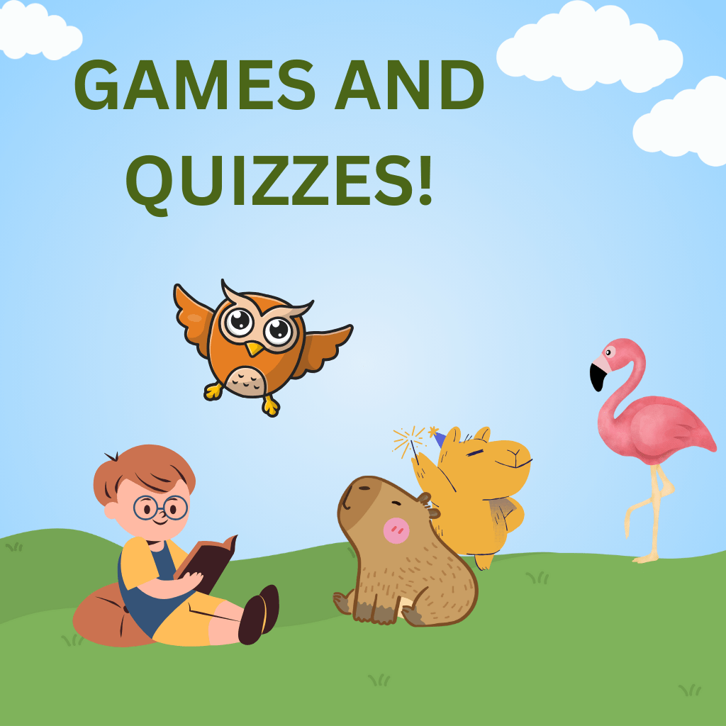 link to quiz and game page