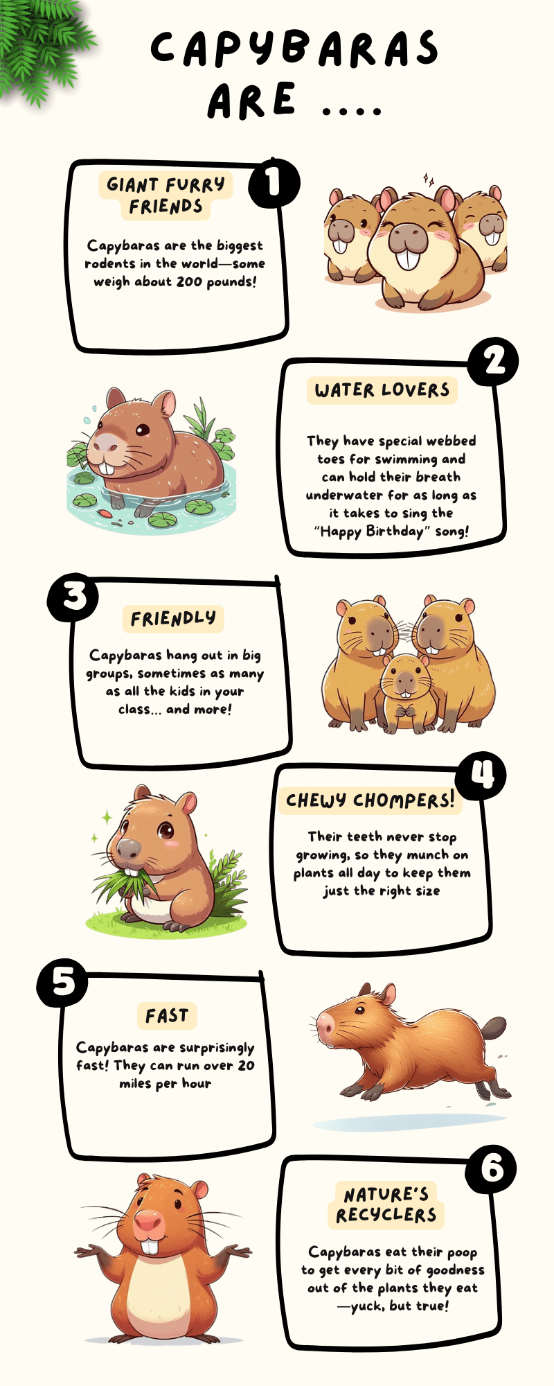 an downloadable infographic about capybaras